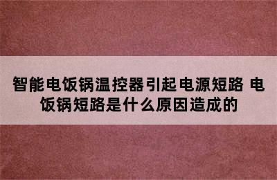 智能电饭锅温控器引起电源短路 电饭锅短路是什么原因造成的